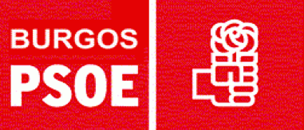 El PSOE pedir&aacute; al Gobierno que impugne la Ley de Concordia de Castilla y Le&oacute;n