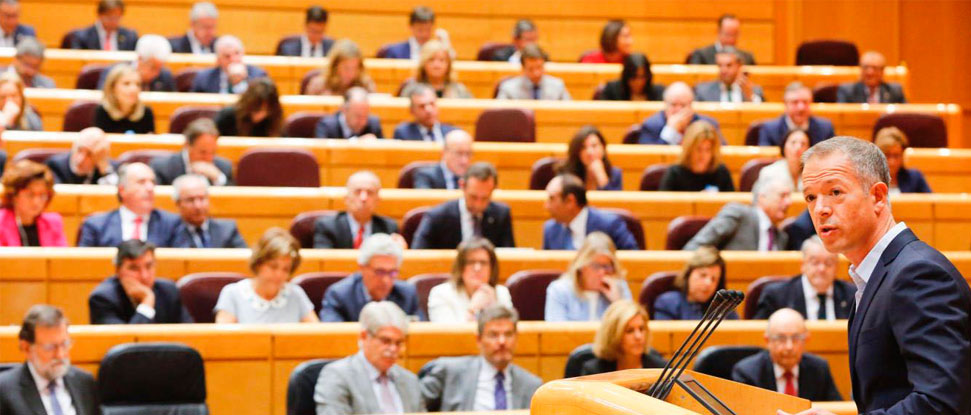 El Senado aprueba una moci&oacute;n del PSOE para el reconocimiento y homenaje de Estado a las v&iacute;ctimas y los exiliados de la dictadura franquista