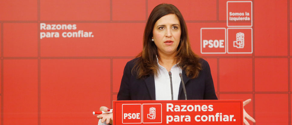 <div>Pe&ntilde;a lamenta la persistencia de los &ldquo;terribles efectos&rdquo; en materia laboral del Ejecutivo de Rajoy</div>