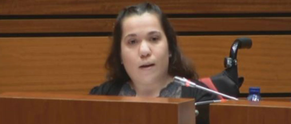 Las Cortes respaldan la PNL del PSOE para garantizar la se&ntilde;al de la televisi&oacute;n de concesi&oacute;n auton&oacute;mica en todos los pueblos