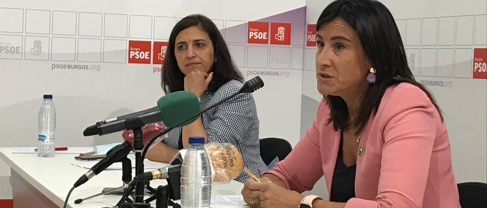 El PSOECyL tacha a Ma&ntilde;ueco de mentiroso compulsivo tras el &uacute;ltimo fiasco de los ERTEs