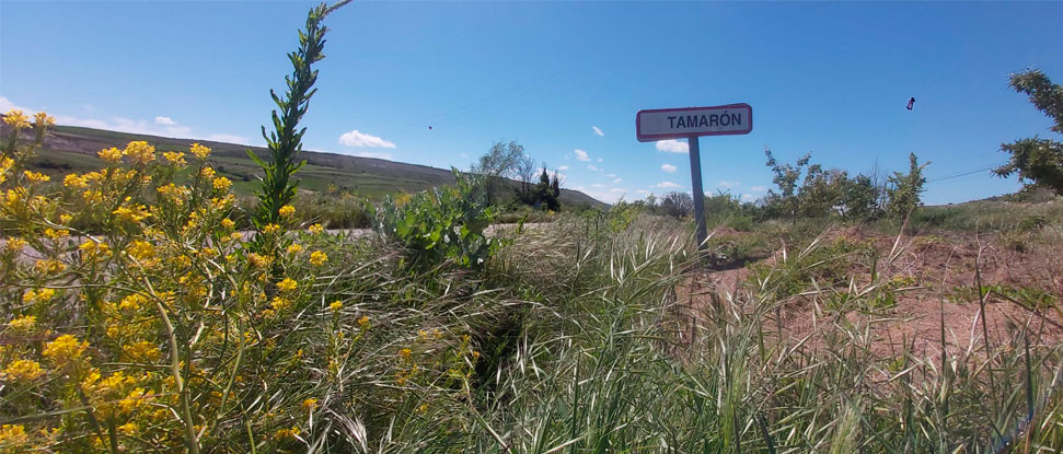 Lezcano denuncia el desinter&eacute;s de la Diputaci&oacute;n por la seguridad en su red de carreteras