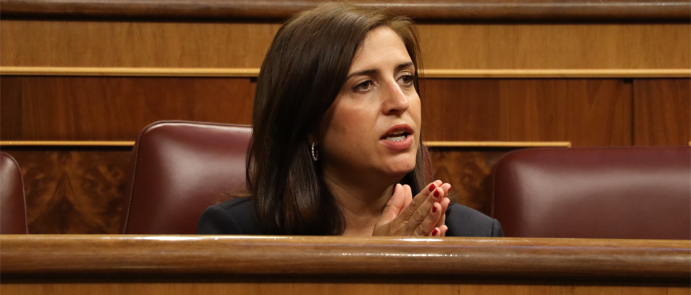 Pe&ntilde;a acusa al consejero de Sanidad de colapsar la Atenci&oacute;n Primaria y la Seguridad Social con fines electoralistas