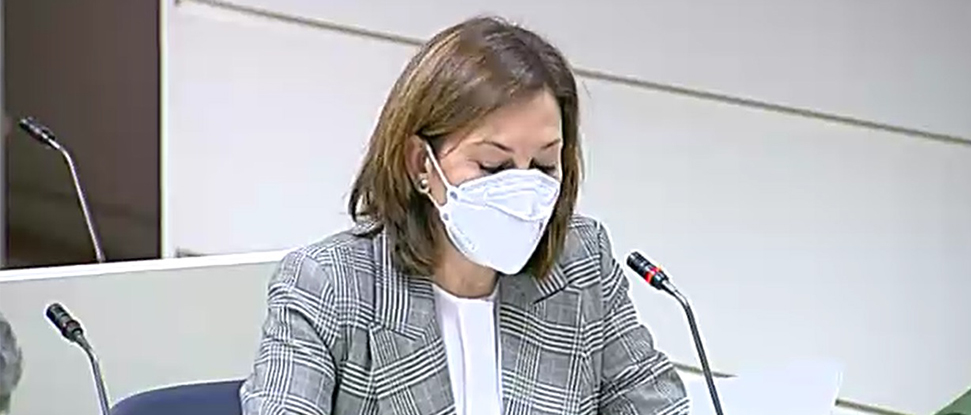 El Senado aprueba estudiar ayudas econ&oacute;micas para la comarca burgalesa de Pinares por su absorci&oacute;n de CO2