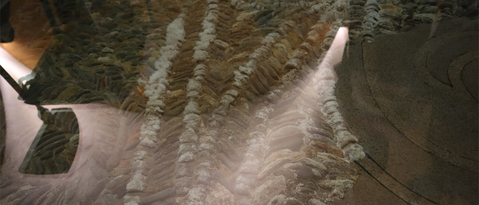 El PSOE expresa su preocupaci&oacute;n por el deterioro del pavimento l&iacute;tico del Monasterio de San Agust&iacute;n