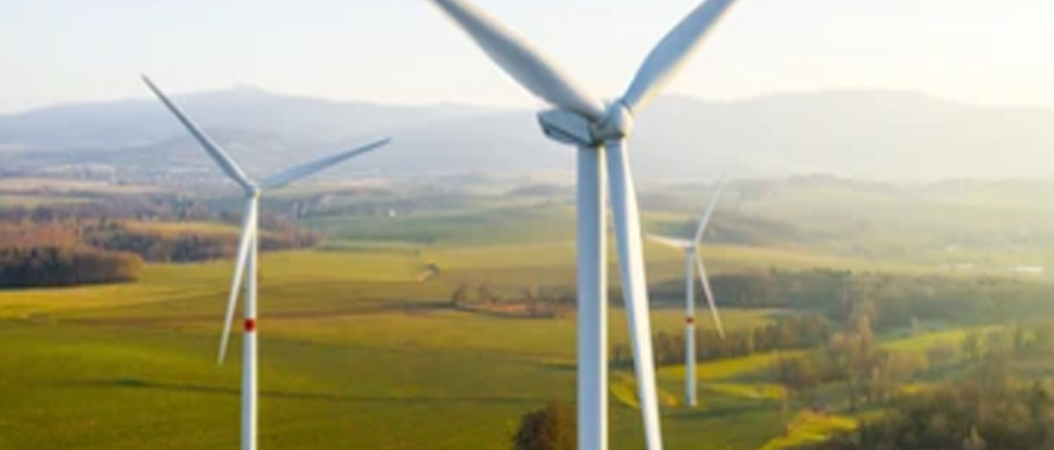 El Grupo Socialista propondr&aacute; al Pleno de la Diputaci&oacute;n instar a la Junta a la regulaci&oacute;n de la localizaci&oacute;n de parques e&oacute;licos