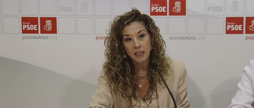 El PSOE presenta una PNL para exigir a la Junta de Castilla y Le&oacute;n el arreglo de la BU-825&nbsp;