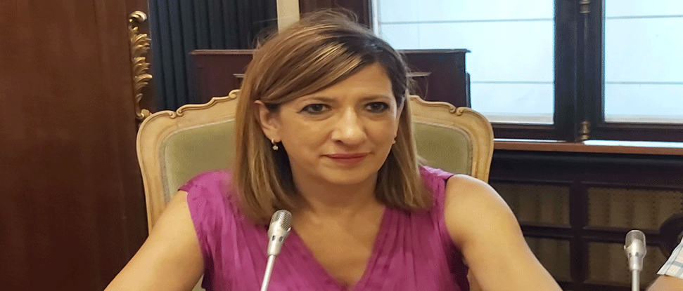 Barrio censura las cesiones del PP a la extrema derecha en la Diputaci&oacute;n