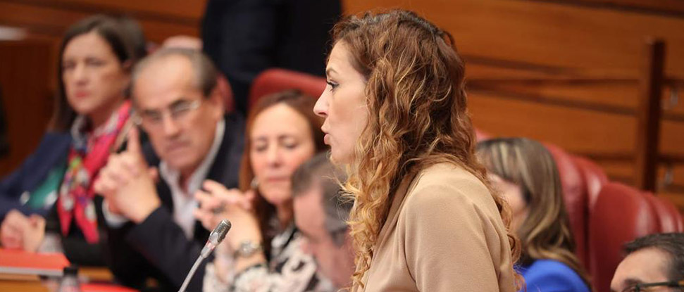 Jim&eacute;nez exige a la Junta pasos claros y r&aacute;pidos en la creaci&oacute;n del centro p&uacute;blico de educaci&oacute;n especial en Miranda