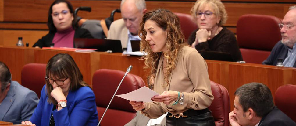 Las Cortes aprueban la PNL socialista para hacer efectivo el plan de monitorizaci&oacute;n del &aacute;guila perdicera en el noroeste de la provincia de Burgos&nbsp;