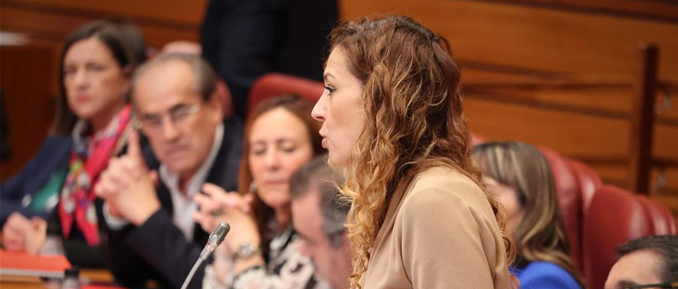 El PSOE pide a la Junta elaborar un programa de monitoreo y estudio de la poblaci&oacute;n del &aacute;guila perdicera en Valverde de Miranda