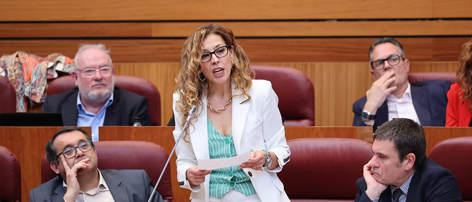 <div>El PSOE propone un servicio de pr&eacute;stamo gratuito de tablets para los pacientes de los hospitales de la provincia de Burgos&nbsp;</div>