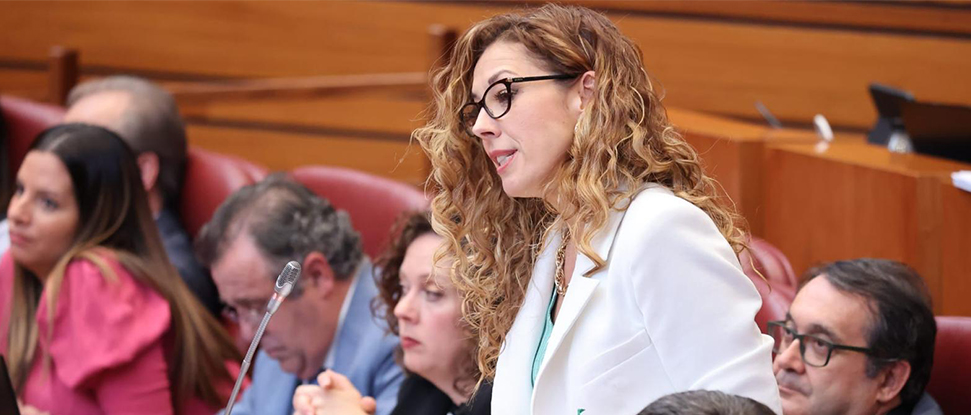<div>El PSOE pide a la Junta m&aacute;quinas biotrituradoras para ayuntamientos y mancomunidades de la provincia de Burgos</div>