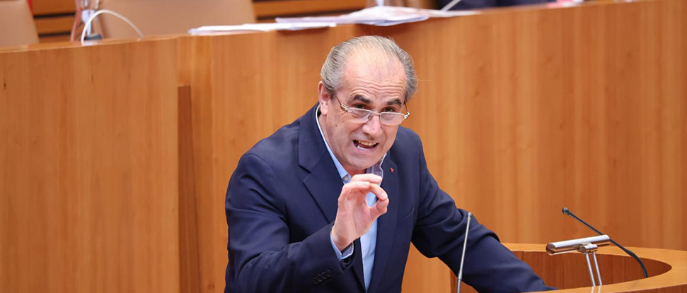 Las Cortes aprueban la iniciativa socialista donde solicitaba tomar medidas para la erradicaci&oacute;n de la avispa asi&aacute;tica