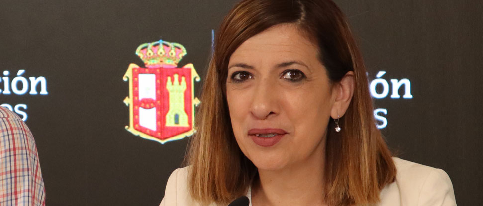 Barrio pide a la Diputaci&oacute;n m&aacute;s implicaci&oacute;n e informaci&oacute;n en la lucha contra la avispa asi&aacute;tica