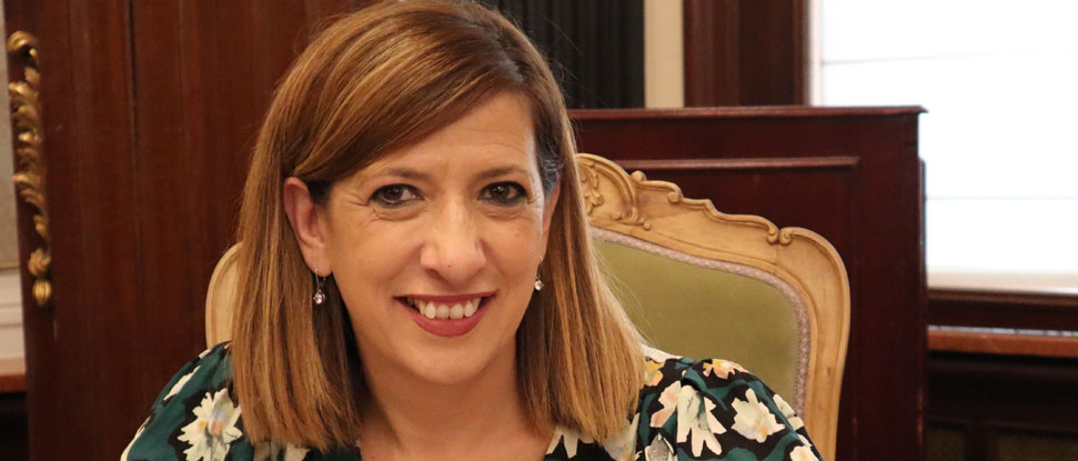 Convencemos al PP y la Diputaci&oacute;n se implicar&aacute; m&aacute;s en la informaci&oacute;n a los pueblos frente a la avispa asi&aacute;tica