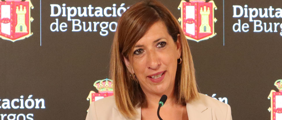 El primer a&ntilde;o de mandato de Borja Su&aacute;rez al frente de la Diputaci&oacute;n, decepcionante