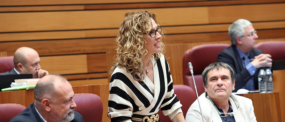 La Junta de Castilla y Le&oacute;n mira para otro lado ante la falta de personal en la residencia Francisco Hurtado Mendoza y Mar&iacute;a Mardones de Miranda&nbsp;