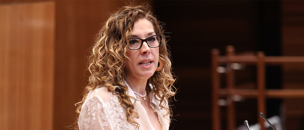 <div>El PSOE pide a la Junta de Castilla y Le&oacute;n m&aacute;s recursos contra la violencia de g&eacute;nero en Burgos</div><div><br /></div>