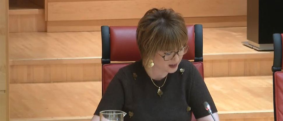 <div>El PSOE exigen una partida plurianual para proteger y poner en valor el conjunto arqueol&oacute;gico de Cerezo de R&iacute;o Tir&oacute;n</div><div><br /></div>