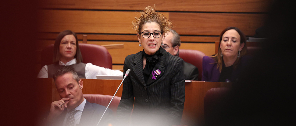 El PSOE insta a la Junta de Castilla y Le&oacute;n a crear un Punto de Encuentro Familiar en Las Merindades